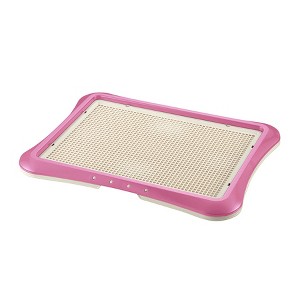 Richell PAW TRAX Mesh Training Tray, Potty Training Tray for Dogs - 1 of 4