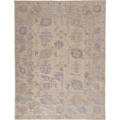 Wendover Transitional Floral & Botanical Tan/Orange/Blue Area Rug