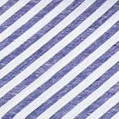 navy and white