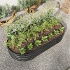 Lirago Oval Galvanized Metal Raised Garden Bed-Large Outdoor Planter Box for Vegetables and Flowers Black 70.86"Lx35.43"Wx11.42"H - 3 of 4