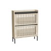 DOMETOUR 2 Flip Shoe Cabinet, Multi-layer Shoe Rack, Modern Minimalist, Storage Cabinet, for Entryway - 4 of 4