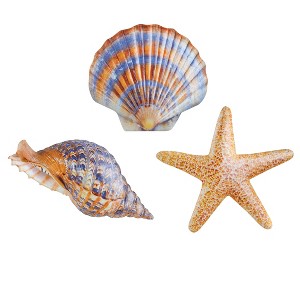Collections Etc Coastal Seashell Metal Wall Decor - Set of 3 - 1 of 2