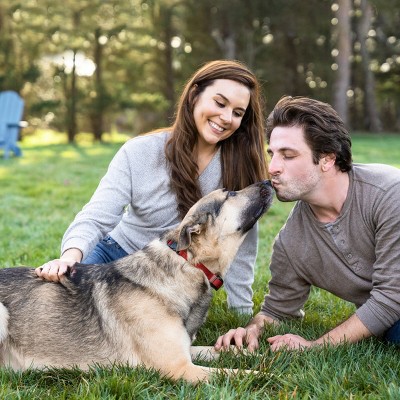 PetSafe Stay & Play Wireless Fence for Stubborn Dogs with Adjustable Collar