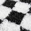 Hauteloom Atira Black & White Checkered Area Rug - 4 of 4