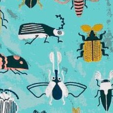 beetle-print