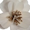 Vickerman 1-3" Natural Botanicals Assorted Natural Dried Sola Flower Head - 2 of 3