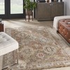 Nourison Petra Oramental Indoor Rug - 2 of 4