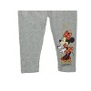 Disney Princess Toddler/Little Girl's Tulle Skirt with Legging Sets - 3 of 3