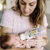 Dr. Brown's Anti-Colic Options+ Narrow-Neck Baby Bottle - 8 fl oz/2pk - 3 of 4