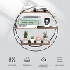 Artloge Vintage Round Wall Mounted Hanging Storage Shelf Bookshelf Cabinet Rack Geometric Circle Display Shelves Holder for Kitchen Office - 4 of 4