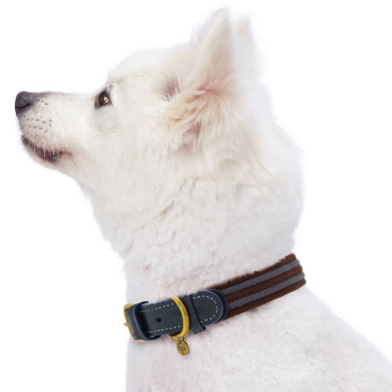 Blueberry Pet Polyester and Leather Dog Collar, 3 of 5