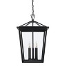 Elegant Lighting Oxford 14 Inch Outdoor Pendant in Black - 2 of 4