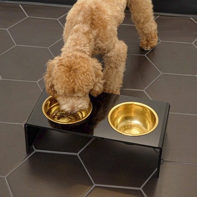 Keaton Black and Gold Modern Elevated Pet Feeder with Stainless Steel Bowls