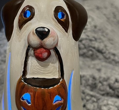 Guest review image 4 of 6, zoom in