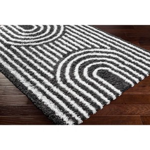 Hauteloom Akela Shag Area Rug - 1 of 4