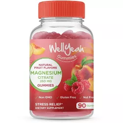 WellYeah Magnesium Citrate Gummies 250mg - Natural Fruit Flavors - 90 Count