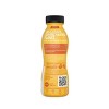 REBBL 26g Churro Protein Shake - 12 fl oz - 3 of 4