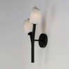 ET2 Lighting Blossom 2 - Light Wall Light in  Black - 2 of 2