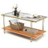 Yukimo 39.5" Rectangle Glass Coffee Table with White and Gold Steel Frame, 2-Tier Storage Design - 4 of 4