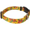 Country Brook Petz Deluxe Dog Collar - Summer Breeze Collection - Made in The U.S.A. - 3 of 4