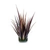tagltd Redwood Grass - 2 of 4