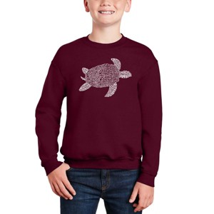 LA Pop Art Turtle - Boy's Word Art Crewneck Sweatshirt - 1 of 3