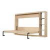 Whisen Minimalist Style Murphy Bed with Bookshelf - 4 of 4