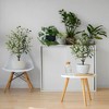 2 Pack Artificial Olive Tree - Faux Potted Plants with Natural Wood Trunk, Realistic Leaves for Home Office Living Room Decor - 4 of 4