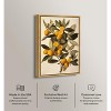 Art Remedy Orange Oasis Glow Vintage Prints Framed - 3 of 4