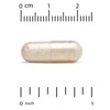 Lake Avenue Nutrition Serrapeptase, Proteolytic Enzyme, 40,000 SPUs, 180 Veggie Capsules - 4 of 4