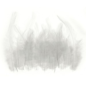 Unique Bargains DIY Dream Catcher Earrings Saddle Hackle Rooster Feathers 50 Pcs - 1 of 4