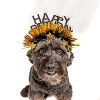 Midlee Sparkle Happy Birthday Dog Headband (Blue) - 2 of 2