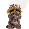 Midlee Sparkle Happy Birthday Dog Headband (Blue) - image 2 of 2