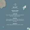 Method Men's Sea and Surf Body Wash - 4 of 4