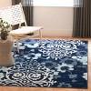 Adirondack ADR114 Non-Shedding Power Loomed Indoor Rugs - Safavieh - 3 of 4