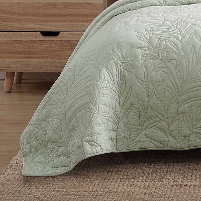 Costa Sera Sage Green Cotton Standard Shams, Set of 2