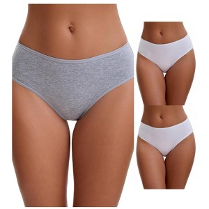INSPIRE CHIC Plus Size for Women's Cotton Mid-Waisted Briefs Full Coverage Comfortable Underwear 3 Packs - 1 of 4