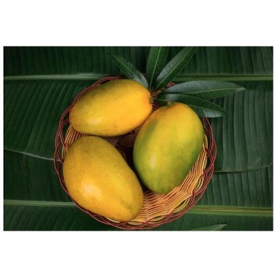 Fresh Imam Pasand Mangoes Pack Of 4