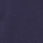 classic navy