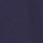 classic navy