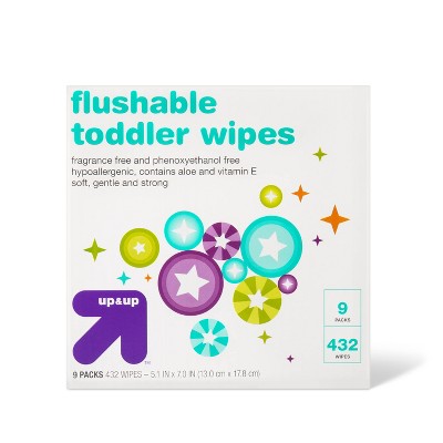 Toddler and Family Flushable Unscented Wipes - 432ct - up &#38; up&#8482;