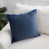 Velvet Flange Throw Pillow - Pillow Perfect - image 3 of 4