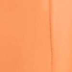orange melon