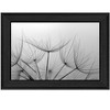 HomeRoots Love is a Delicate Flower Black Framed Print Wall Art - 4 of 4