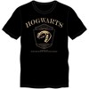 Hogwarts Slytherin Mens Black Short Sleeve Graphic Tee - 3 of 4