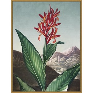 Amanti Art Temple of Flora I by Dr. robert j. Thornton Framed Canvas Wall Art - 1 of 4