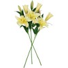 Northlight Real Touch™ Yellow Artificial Lily Floral Stems, Set of 5 - 38" - 3 of 4