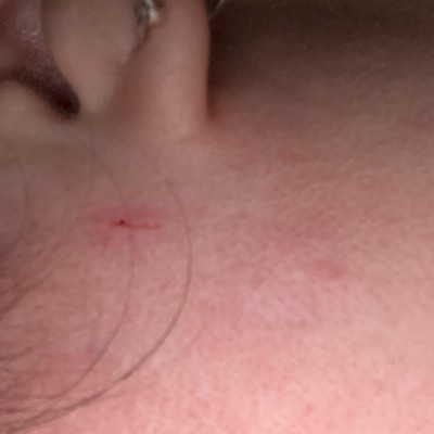 Guest review image 1 of 2, zoom in