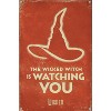 Trends International Wicked: For Good (2025) - The Wicked Witch Is Watching You Unframed Wall Poster Prints - 4 of 4