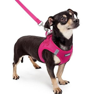 rabbitgoo Dog Harness Small Sized and Leash Set, Breathable Mesh Pet Harness, Reflective for Safe Easy Walking, Rosa Red XXXS - 1 of 1